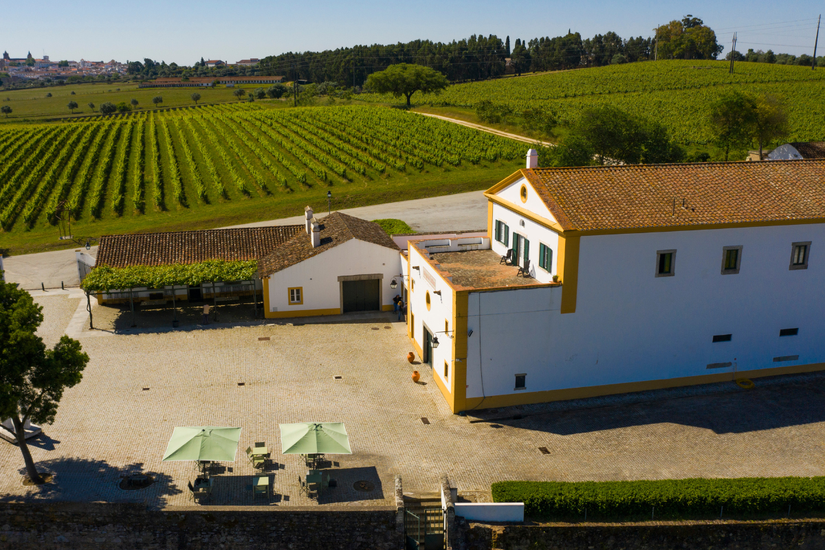 Cartuxa- Vinhos e Azeites para fomentar a educação