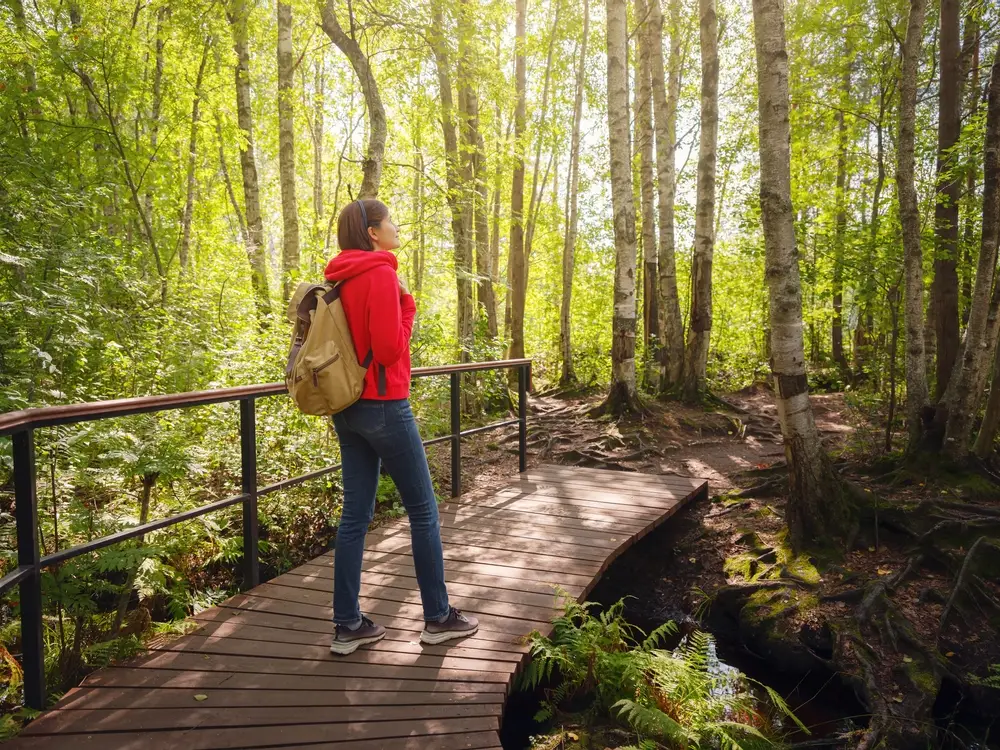 o qque é turismo regenerativo