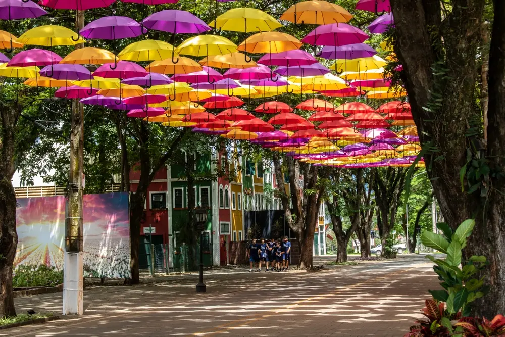 holambra destinos proximos a sao paulo