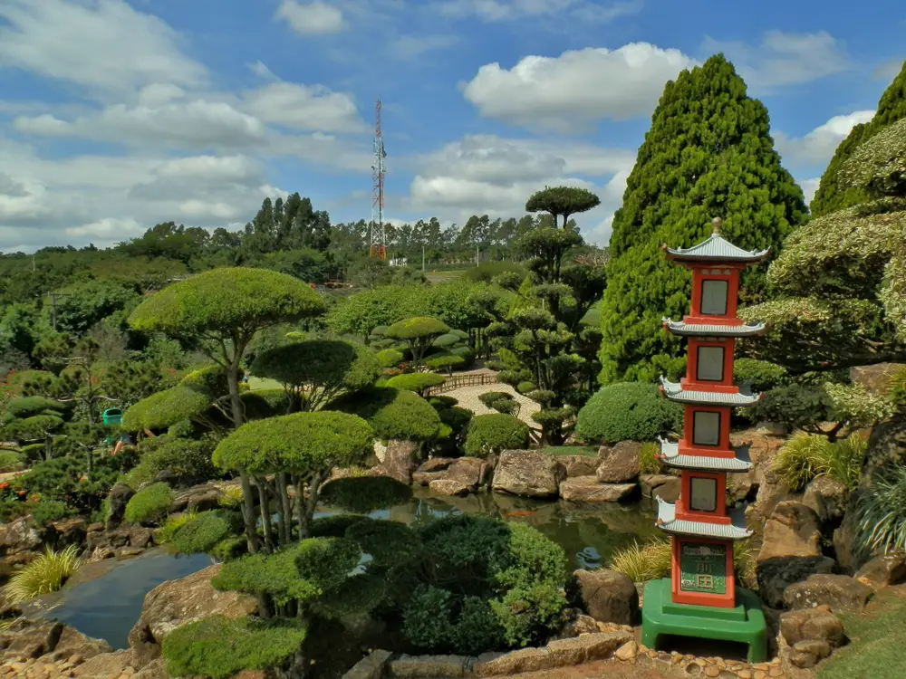 rodízio de morango parque maeda