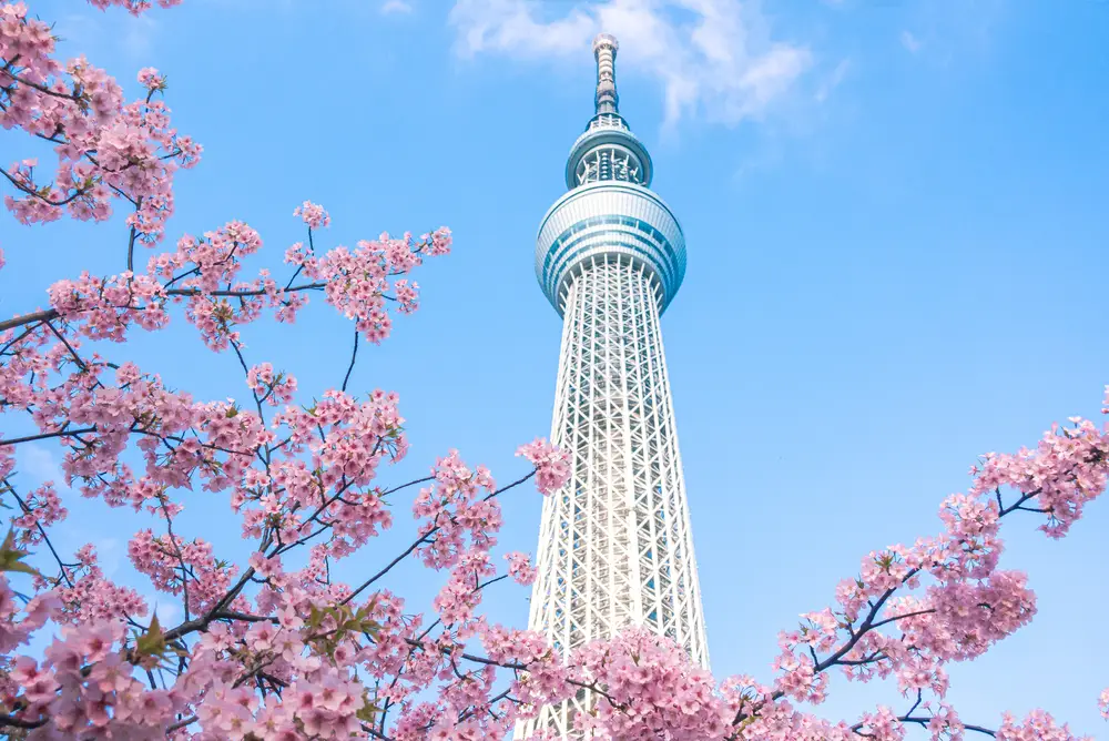 o que fazer no japão